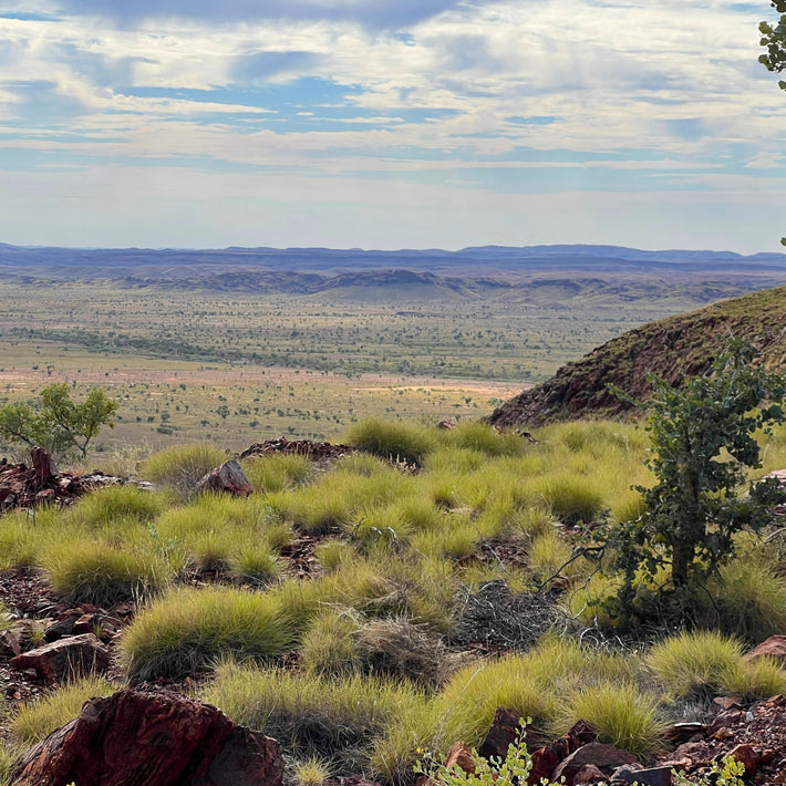 Legacy Carved in Red Dirt