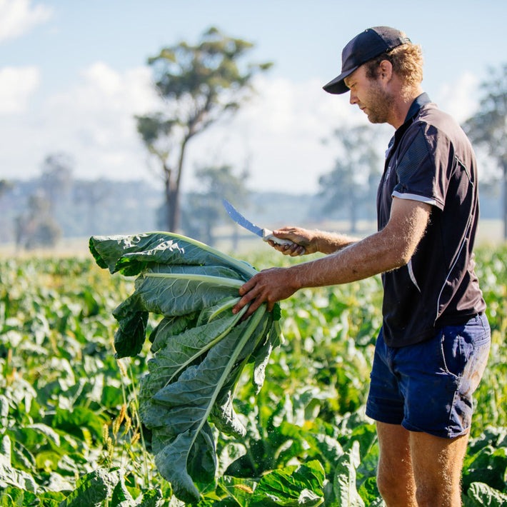 The Growers and Makers