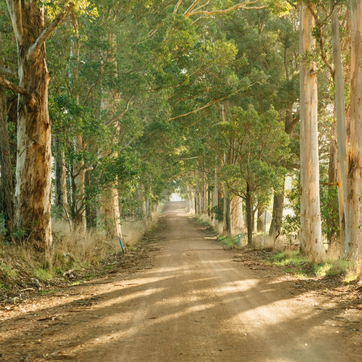 Warmth and Country Charm