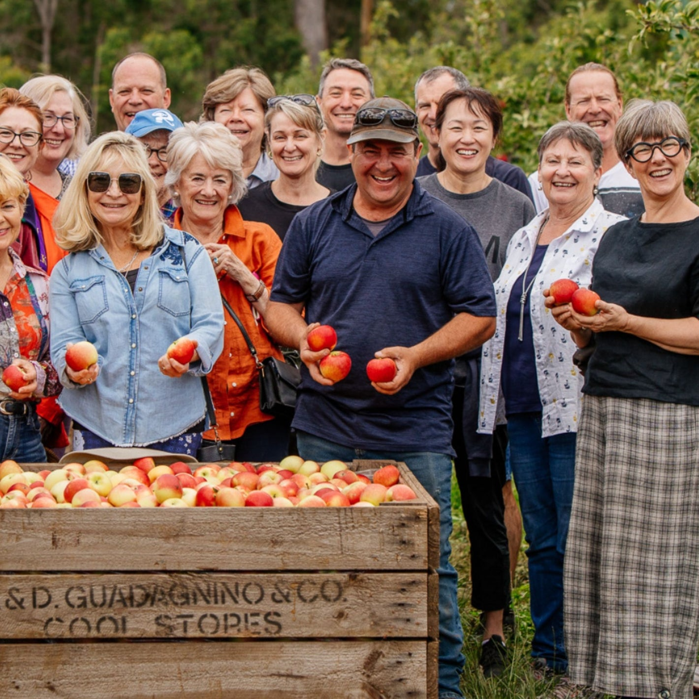 Food Discovery Tours