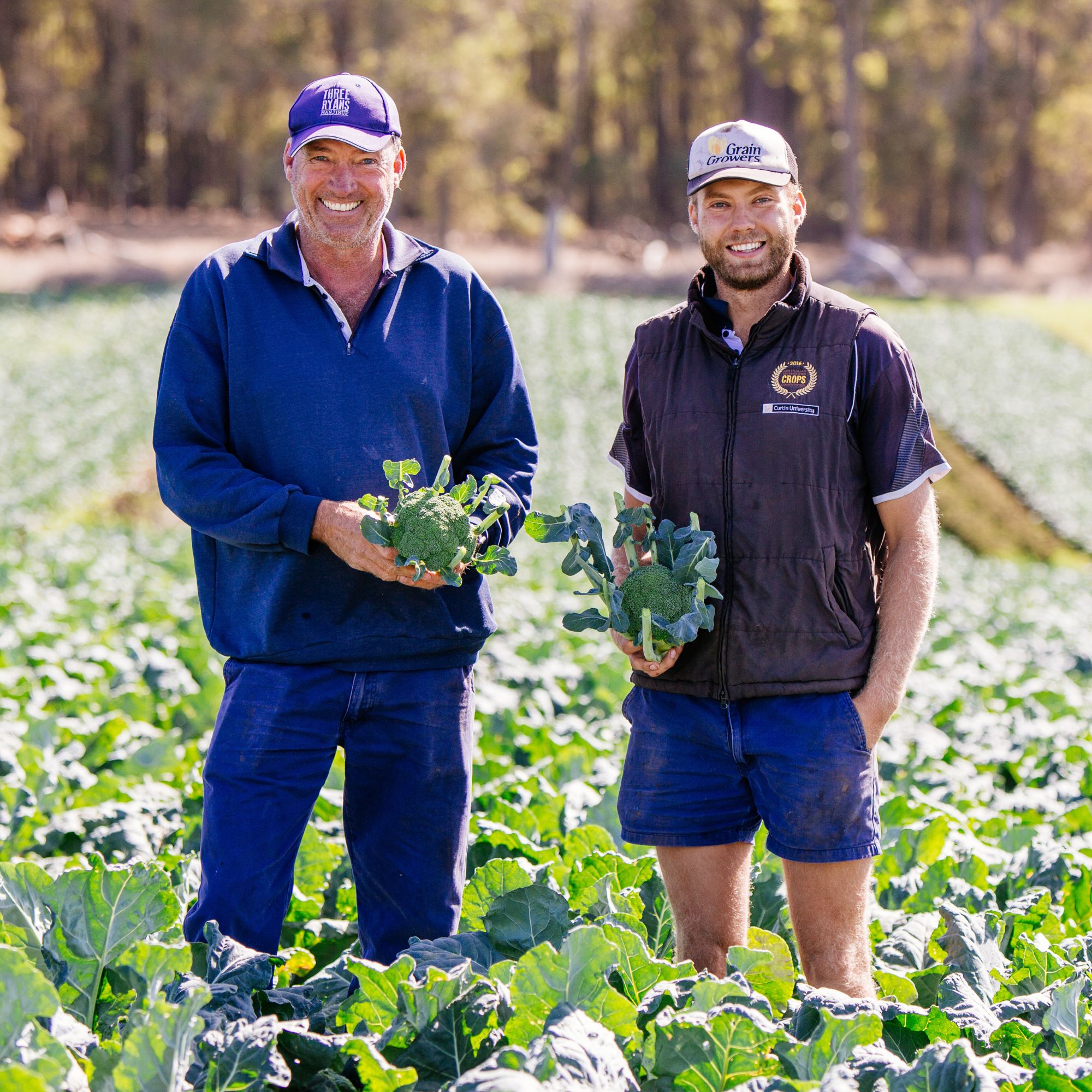 Warmth and Country Charm