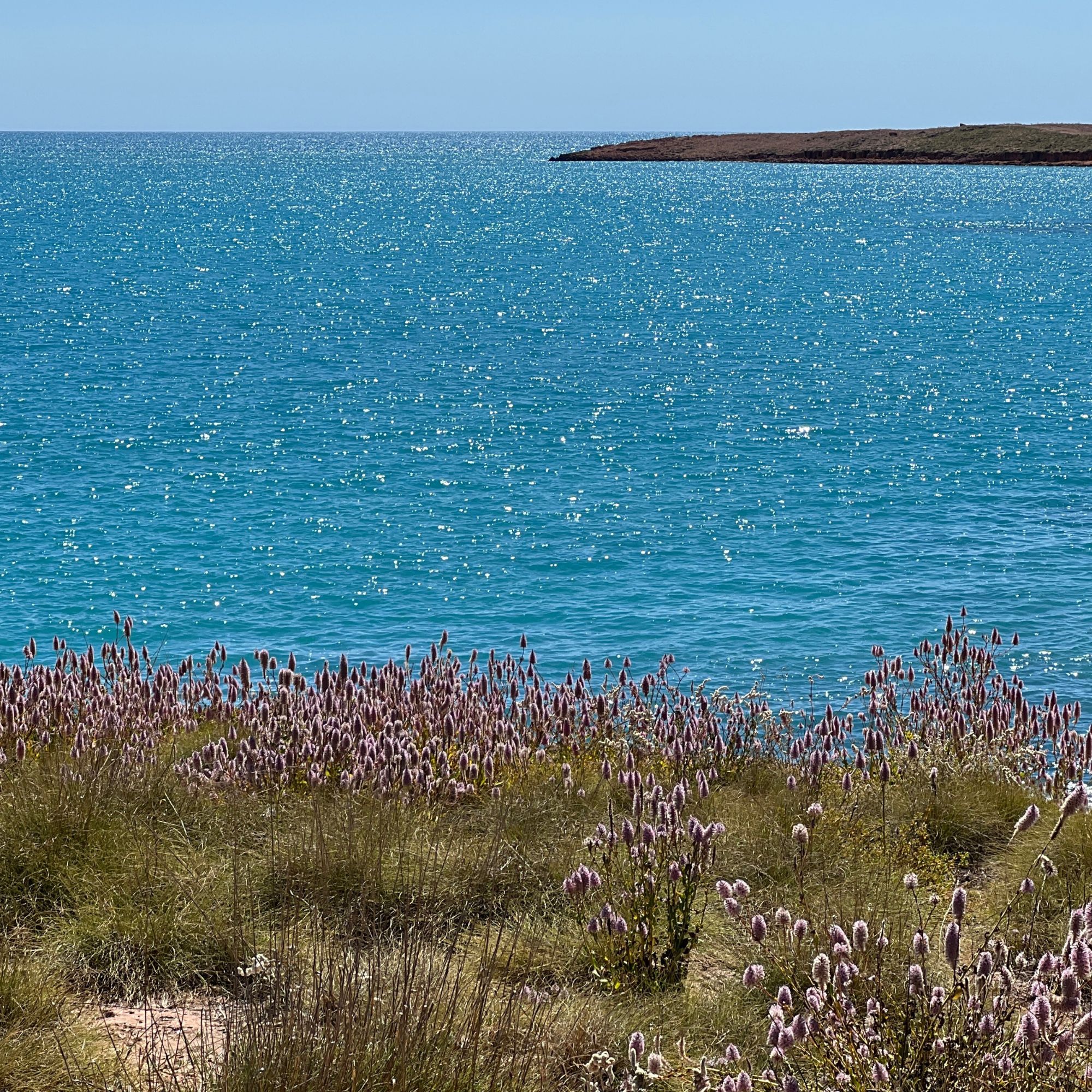 This is the Epic Pilbara